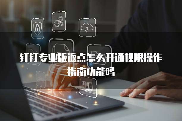 钉钉专业版返点怎么开通权限操作指南功能吗
