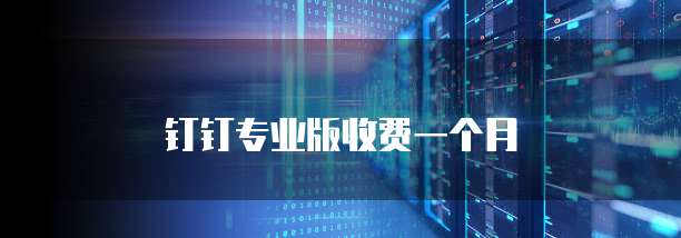 钉钉专业版收费一个月