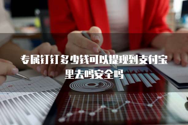 专属钉钉多少钱可以提现到支付宝里去吗安全吗