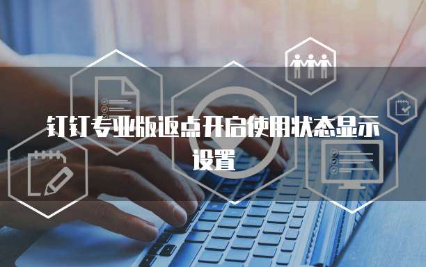 钉钉专业版返点开启使用状态显示设置