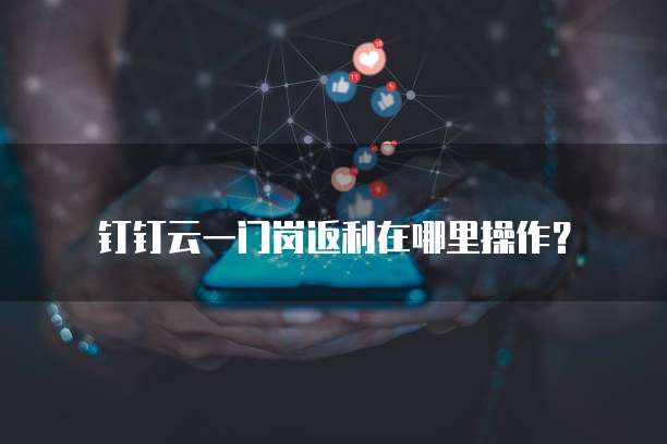 钉钉云一门岗返利在哪里操作?