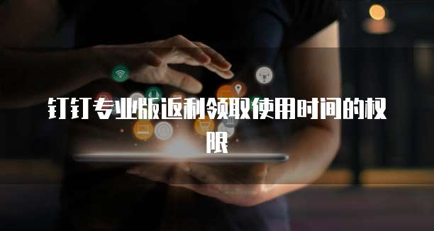 钉钉专业版返利领取使用时间的权限