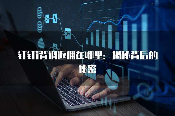 钉钉i背调返佣在哪里:揭秘背后的秘密