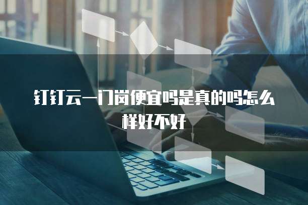 钉钉云一门岗便宜吗是真的吗怎么样好不好