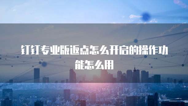 钉钉专业版返点怎么开启的操作功能怎么用