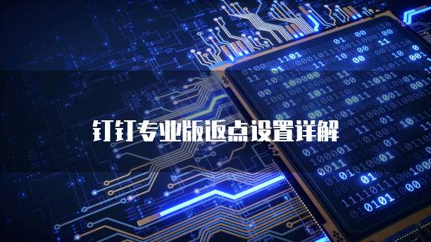 钉钉专业版返点设置详解