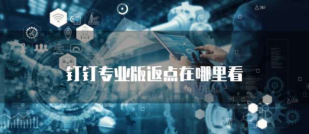 钉钉专业版返点在哪里看