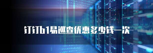 钉钉b1易巡查优惠多少钱一次