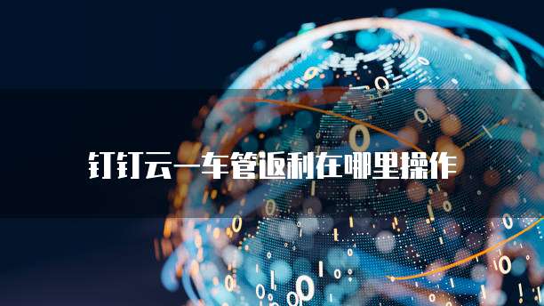 钉钉云一车管返利在哪里操作