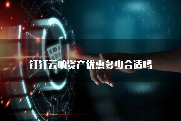 钉钉云呐资产优惠多少合适吗