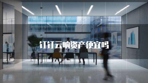 钉钉云呐资产便宜吗