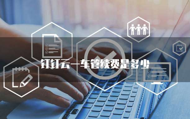 钉钉云一车管续费是多少