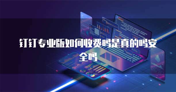 钉钉专业版如何收费吗是真的吗安全吗