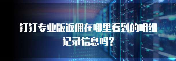 钉钉专业版返佣在哪里看到的明细记录信息吗?