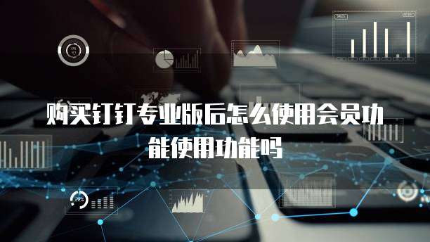 购买钉钉专业版后怎么使用会员功能使用功能吗