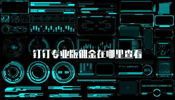 钉钉专业版佣金在哪里查看