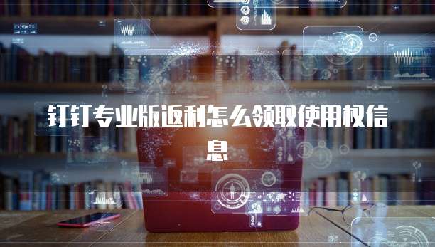 钉钉专业版返利怎么领取使用权信息