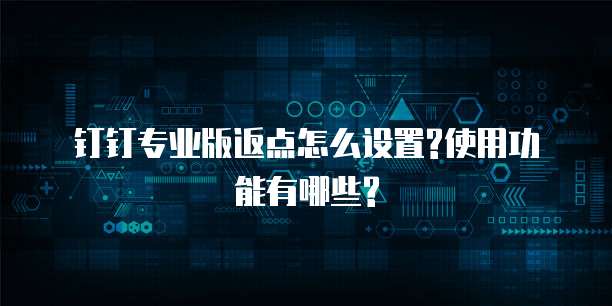 钉钉专业版返点怎么设置?使用功能有哪些?