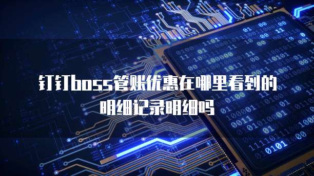 钉钉boss管账优惠在哪里看到的明细记录明细吗