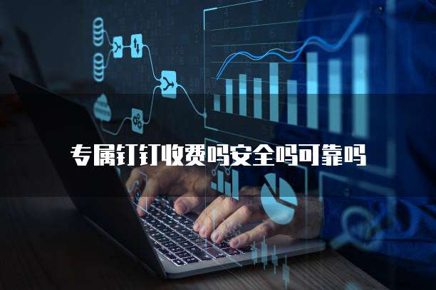 专属钉钉收费吗安全吗可靠吗