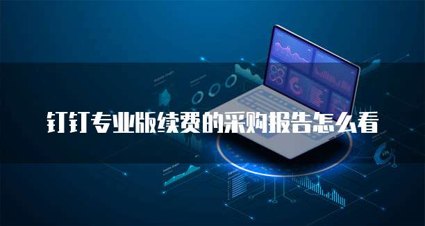 钉钉专业版续费的采购报告怎么看