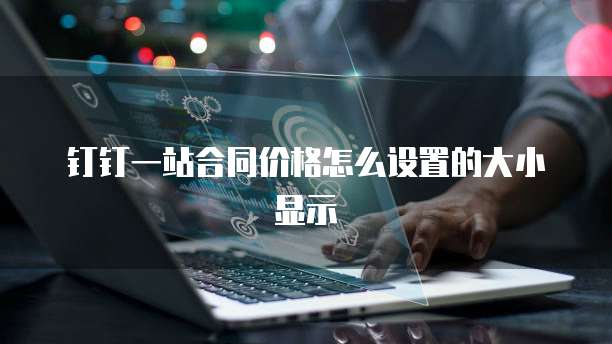 钉钉一站合同价格怎么设置的大小显示