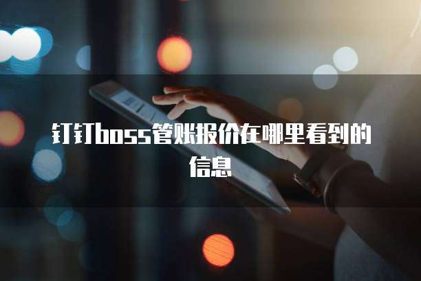 钉钉boss管账报价在哪里看到的信息