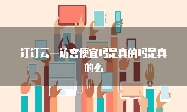 钉钉云一访客便宜吗是真的吗是真的么