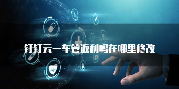 钉钉云一车管返利吗在哪里修改
