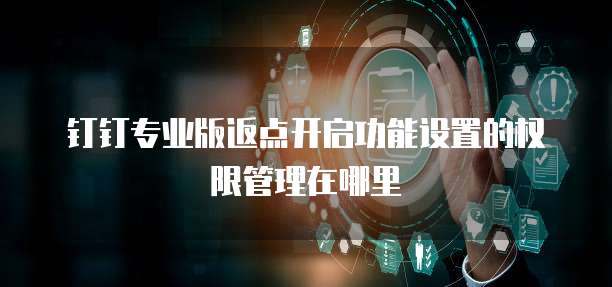 钉钉专业版返点开启功能设置的权限管理在哪里