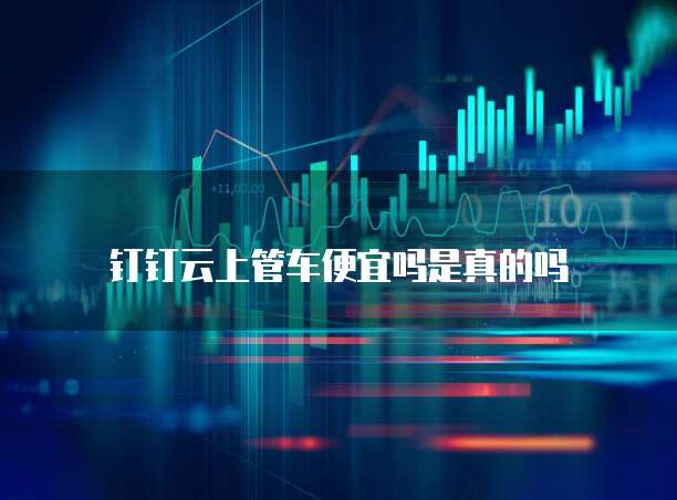 钉钉云上管车便宜吗是真的吗