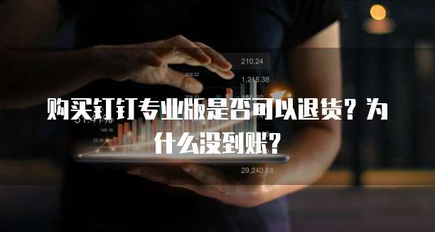 购买钉钉专业版是否可以退货?为什么没到账?