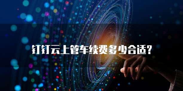 钉钉云上管车续费多少合适?