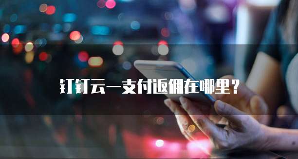 钉钉云一支付返佣在哪里?