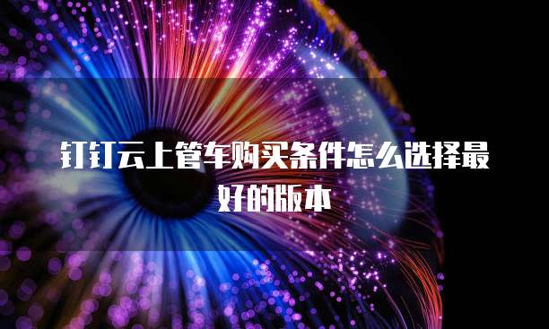 钉钉云上管车购买条件怎么选择最好的版本