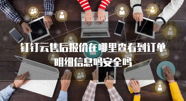 钉钉云售后报价在哪里查看到订单明细信息吗安全吗