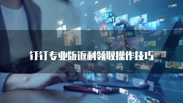 钉钉专业版返利领取操作技巧