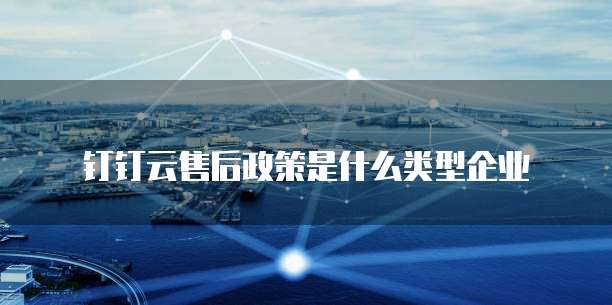 钉钉云售后政策是什么类型企业