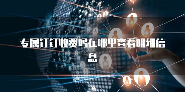 专属钉钉收费吗在哪里查看明细信息