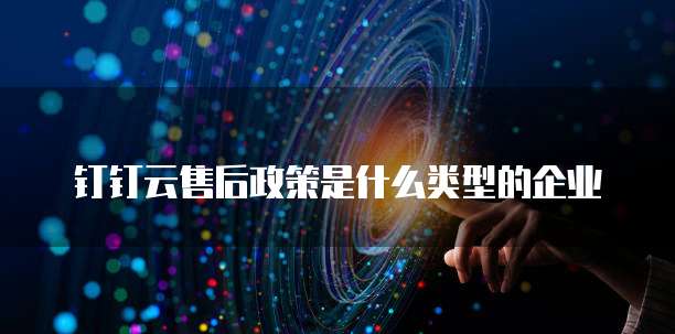 钉钉云售后政策是什么类型的企业