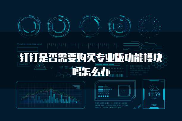 钉钉是否需要购买专业版功能模块吗怎么办