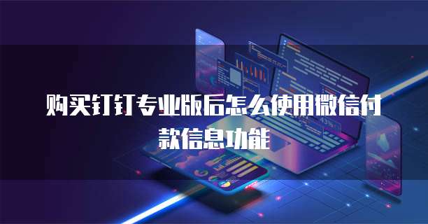 购买钉钉专业版后怎么使用微信付款信息功能
