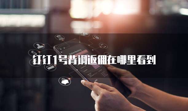 钉钉1号背调返佣在哪里看到