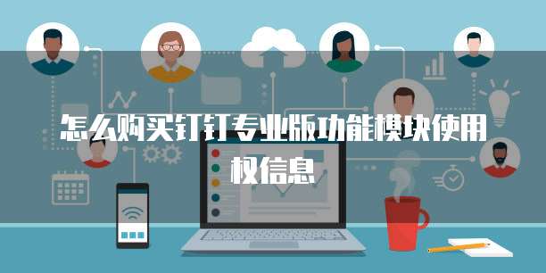 怎么购买钉钉专业版功能模块使用权信息