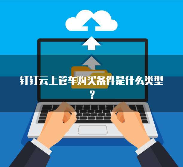 钉钉云上管车购买条件是什么类型?