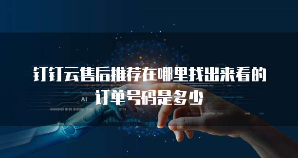 钉钉云售后推荐在哪里找出来看的订单号码是多少