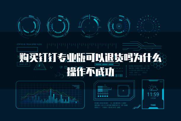 购买钉钉专业版可以退货吗为什么操作不成功
