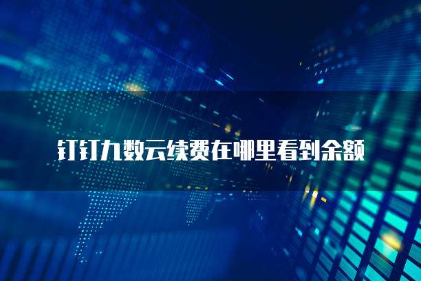 钉钉九数云续费在哪里看到余额