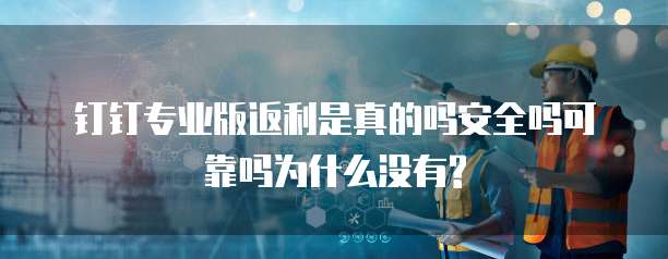 钉钉专业版返利是真的吗安全吗可靠吗为什么没有?