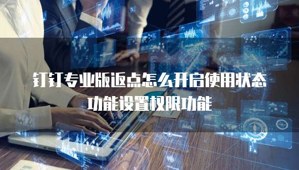 钉钉专业版返点怎么开启使用状态功能设置权限功能